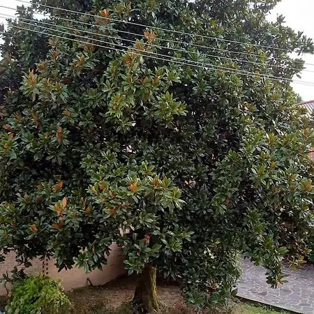 Il Granaio Letterario * Padova